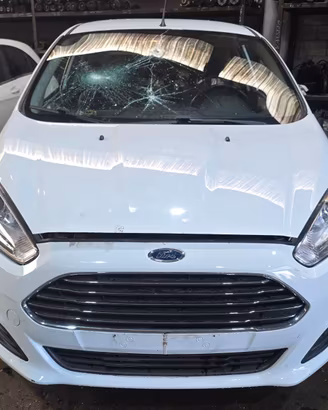 RICAMBI USATI FORD FIESTA TITANIUM 2013-2017