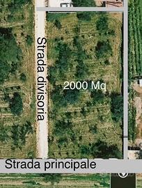 Terreno agricolo