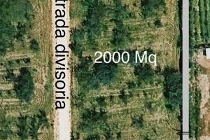 Terreno agricolo