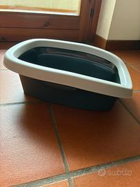Toilette per gatti