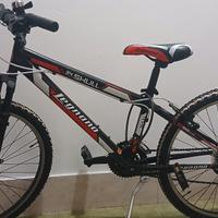 Bicicletta Monta bank Leniano