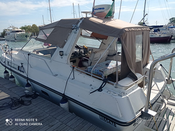 Fjord Dolphin 900 cabinato diesel 16000 euro