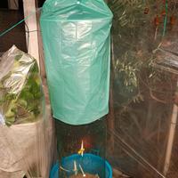 EURO 10 GABBIA ARTIGIANALE GIGANTE X UCCELLI 