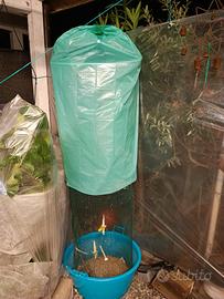 EURO 10 GABBIA ARTIGIANALE GIGANTE X UCCELLI 