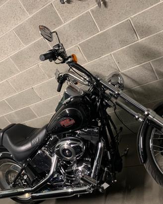 Harley softail custom