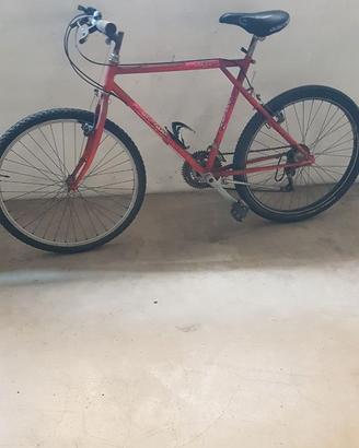 MTB anni '90 marca Torpado modello Canyon