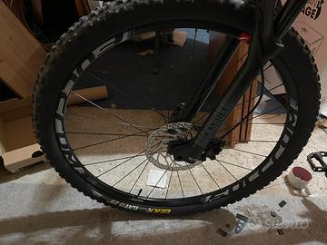 Mtb 29