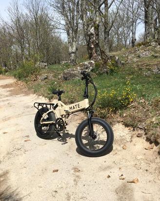 E-BIKE  mod. MATE 750W