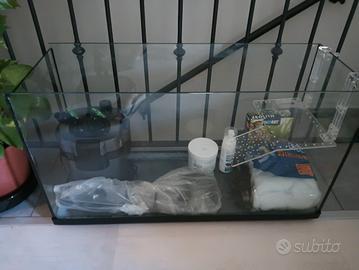 acquario