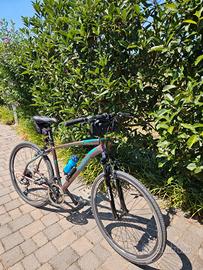 bici da treking