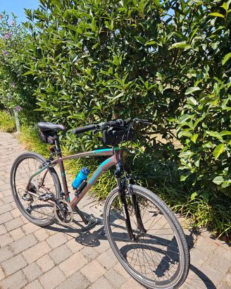 bici da treking