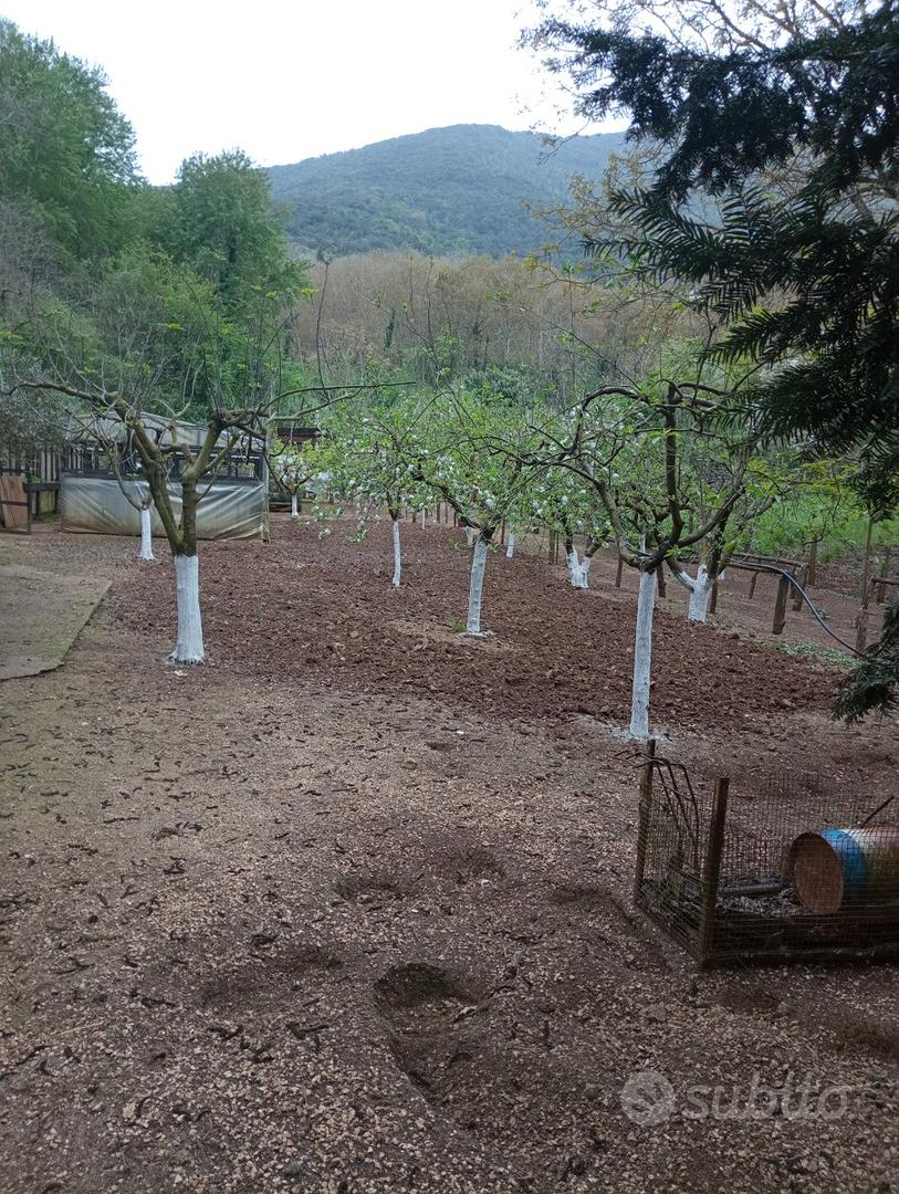Terreno agricolo - Vista 3