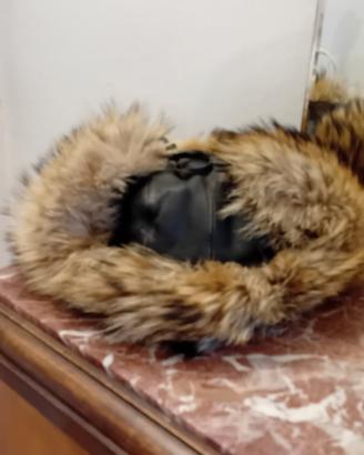 colbacco lupo