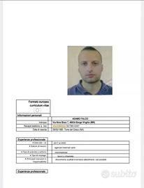 Operaio Magazziniere Esperto