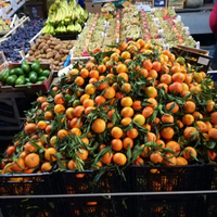 Autorizzazioni commercio alimentare ambulante