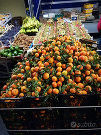 Autorizzazioni commercio alimentare ambulante