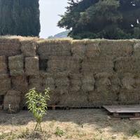 Ballette di fieno profumato della Lessinia