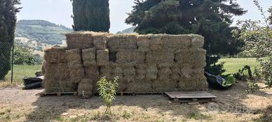 Ballette di fieno profumato della Lessinia