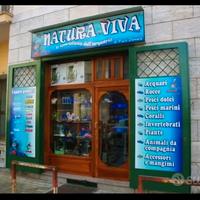 Attività commerciale