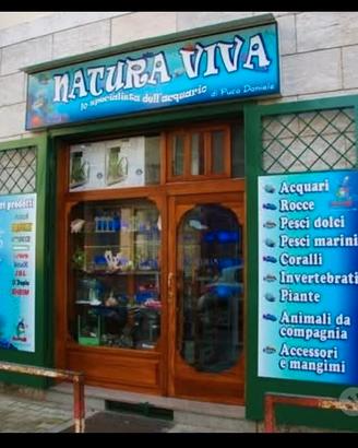 Attività commerciale