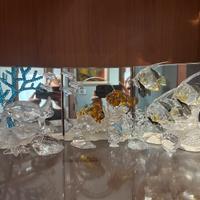 Acquario Swarovski