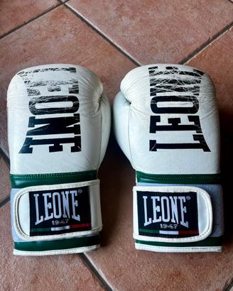 Guantoni da Boxe Leone