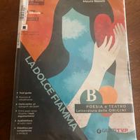Libro la Dolce Fiamma