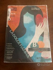 Libro la Dolce Fiamma