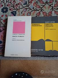 2 sunti cetim diritto privato e pubblico