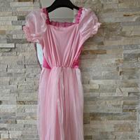 costume di carnevale principessa 