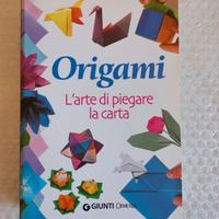 libro manuale degli Origami 