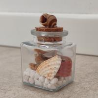 Set Soprammobile conchiglie mare bottiglia vetro 