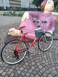 bicicletta da turismo 