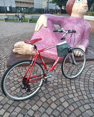 bicicletta da turismo 