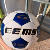 pallone da calcio