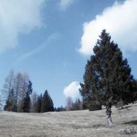 Coppia custodi - custodi aziendali