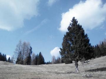 Coppia custodi - custodi aziendali