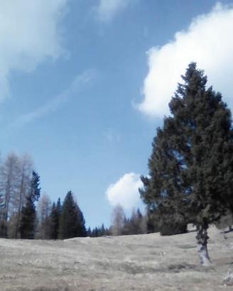 Coppia custodi - custodi aziendali