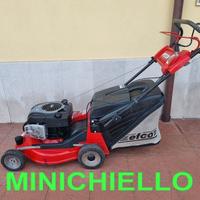 Tagliaerba professionale efco ar 53