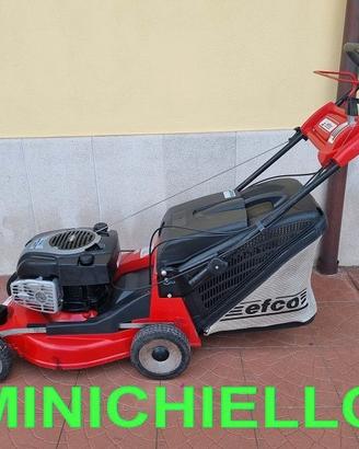 Tagliaerba professionale efco ar 53