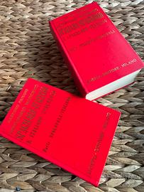 Dizionario spagnolo