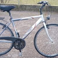 Bici uomo Rower alluminio 