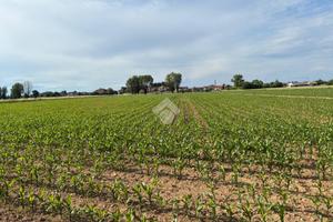 TER. AGRICOLO A CORBETTA