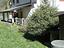 Immagine 18