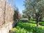 Immagine 12