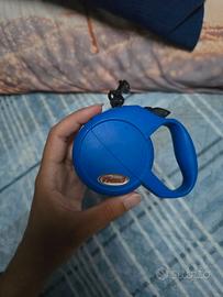 Flexi estensibile