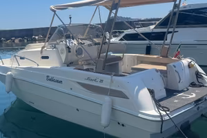 Fiart 25 wolkaround diesel