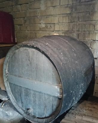 botti di legno grandi 