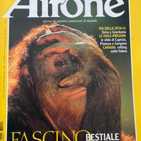 Airone