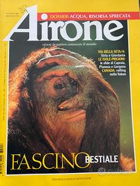 Airone